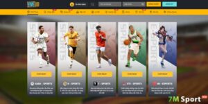 FIVE88 hoạt động chủ yếu tại thị trường Châu Á, thành lập từ năm 2017