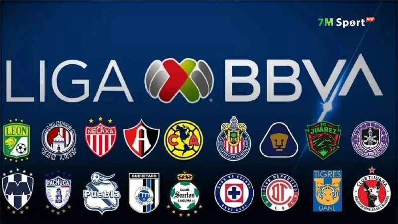 Giải VĐQG Mexico đang ngày càng được chú ý