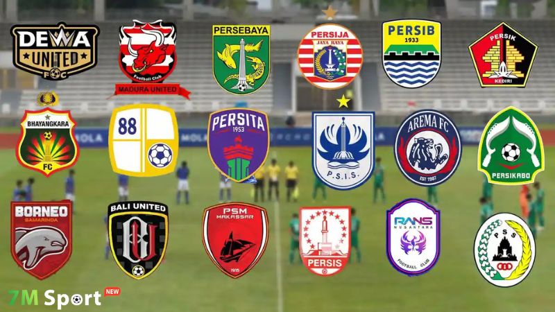 VĐQG Indonesia trong quá trình chuyên nghiệp hóa