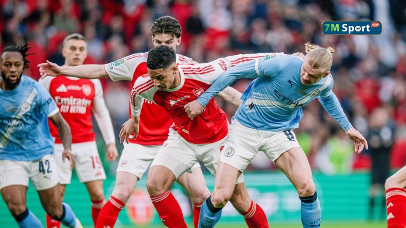 Dự đoán từ chuyên gia